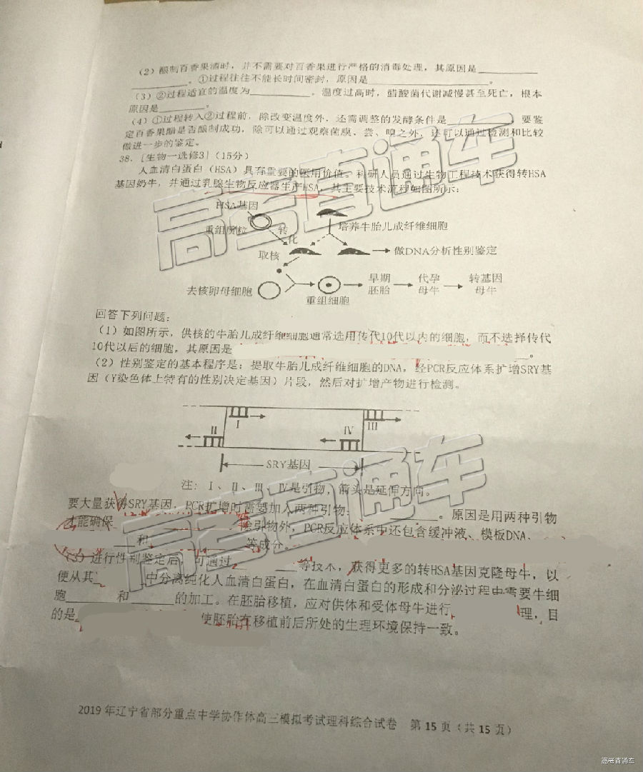 2019ʡصѧЭģ⿼⼰ο
