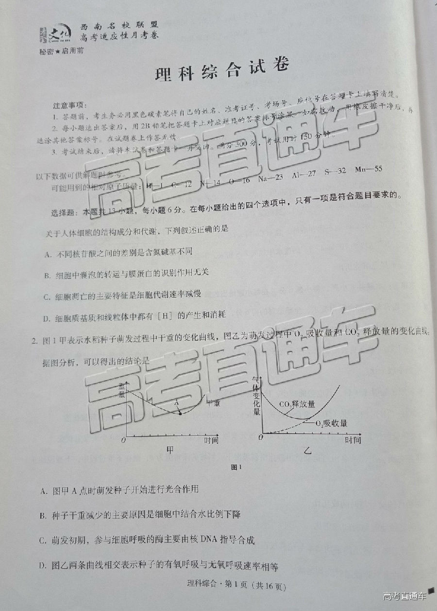 2019һеߴ¿⼰ο