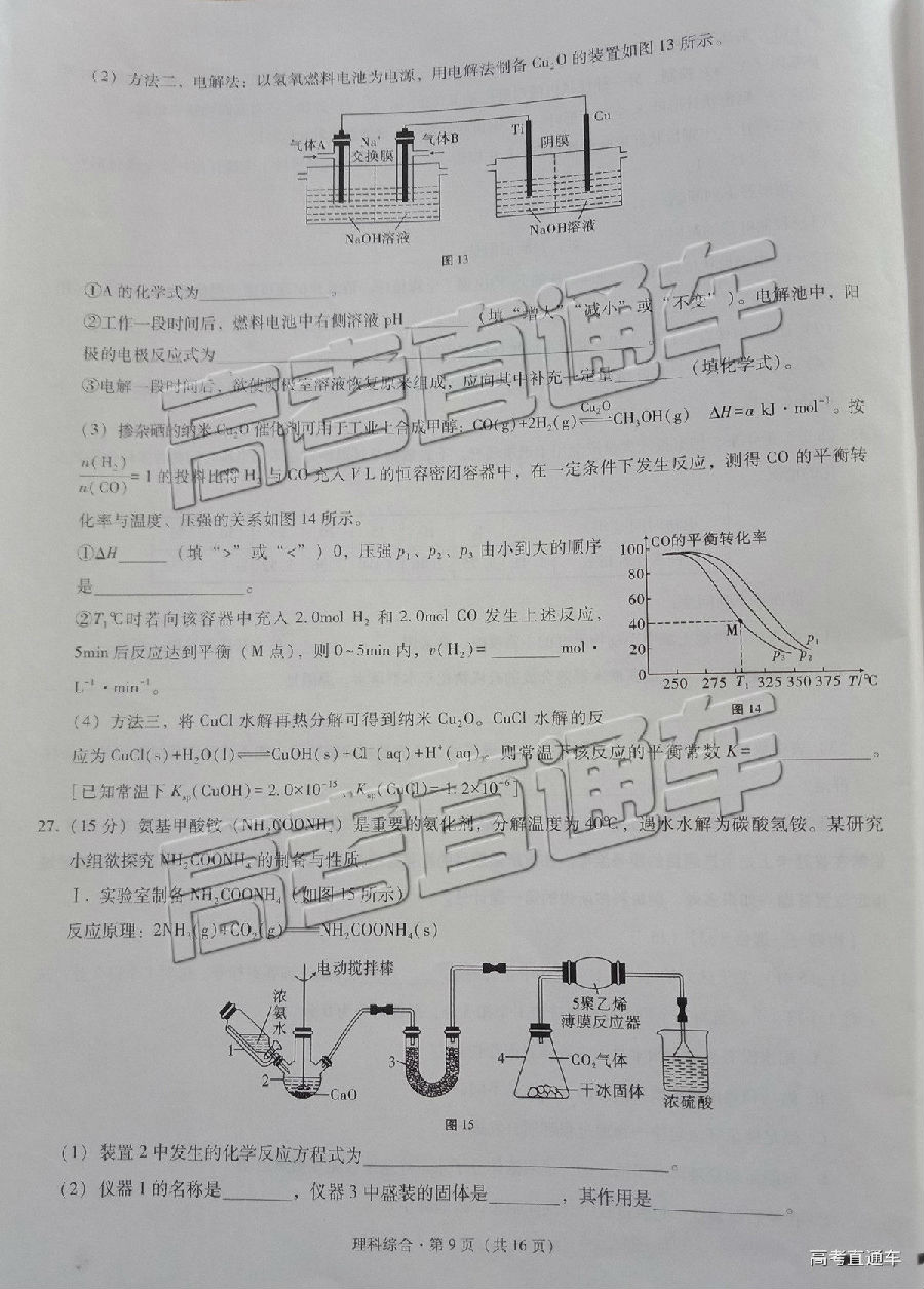 2019һеߴ¿⼰ο
