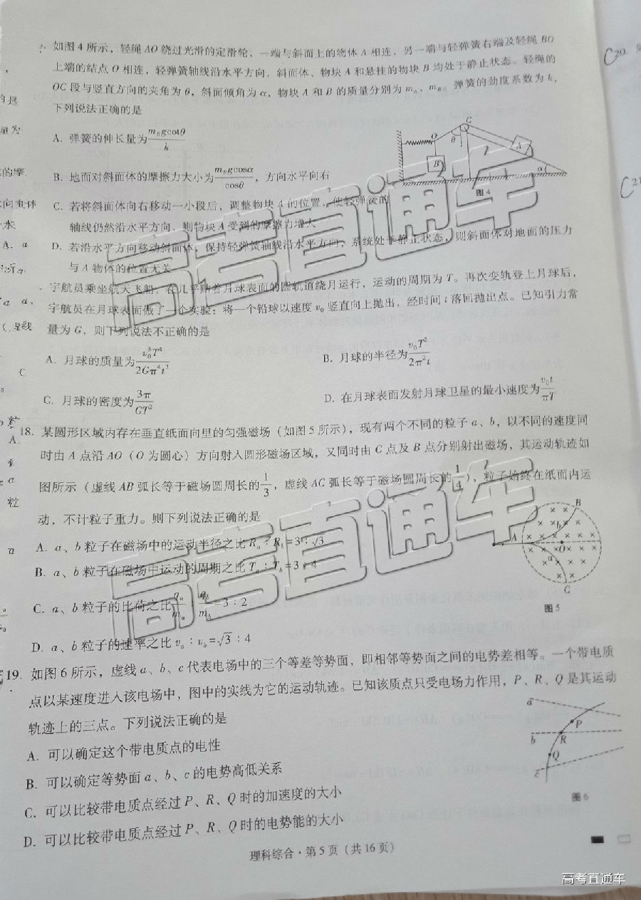 2019һеߴ¿⼰ο