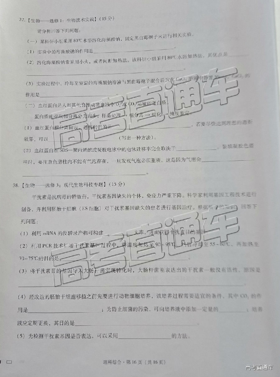 2019һеߴ¿⼰ο