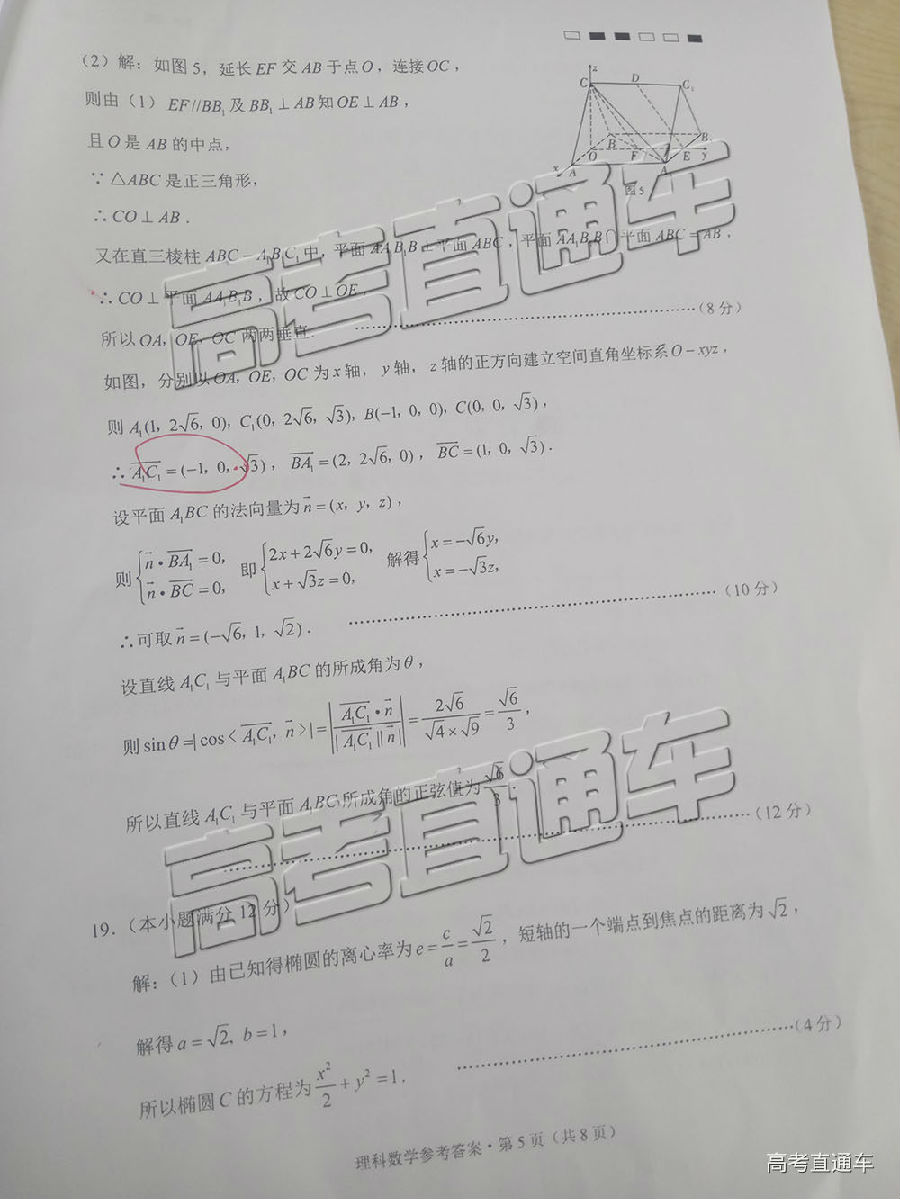 2019ʦеڰ˴¿⼰ο