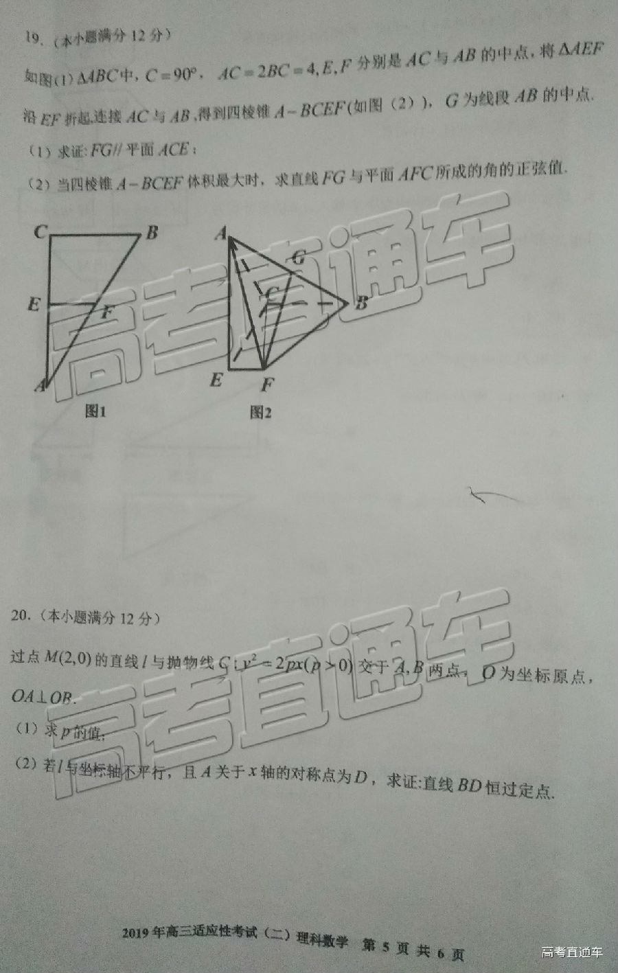 2019ģ⼰ο