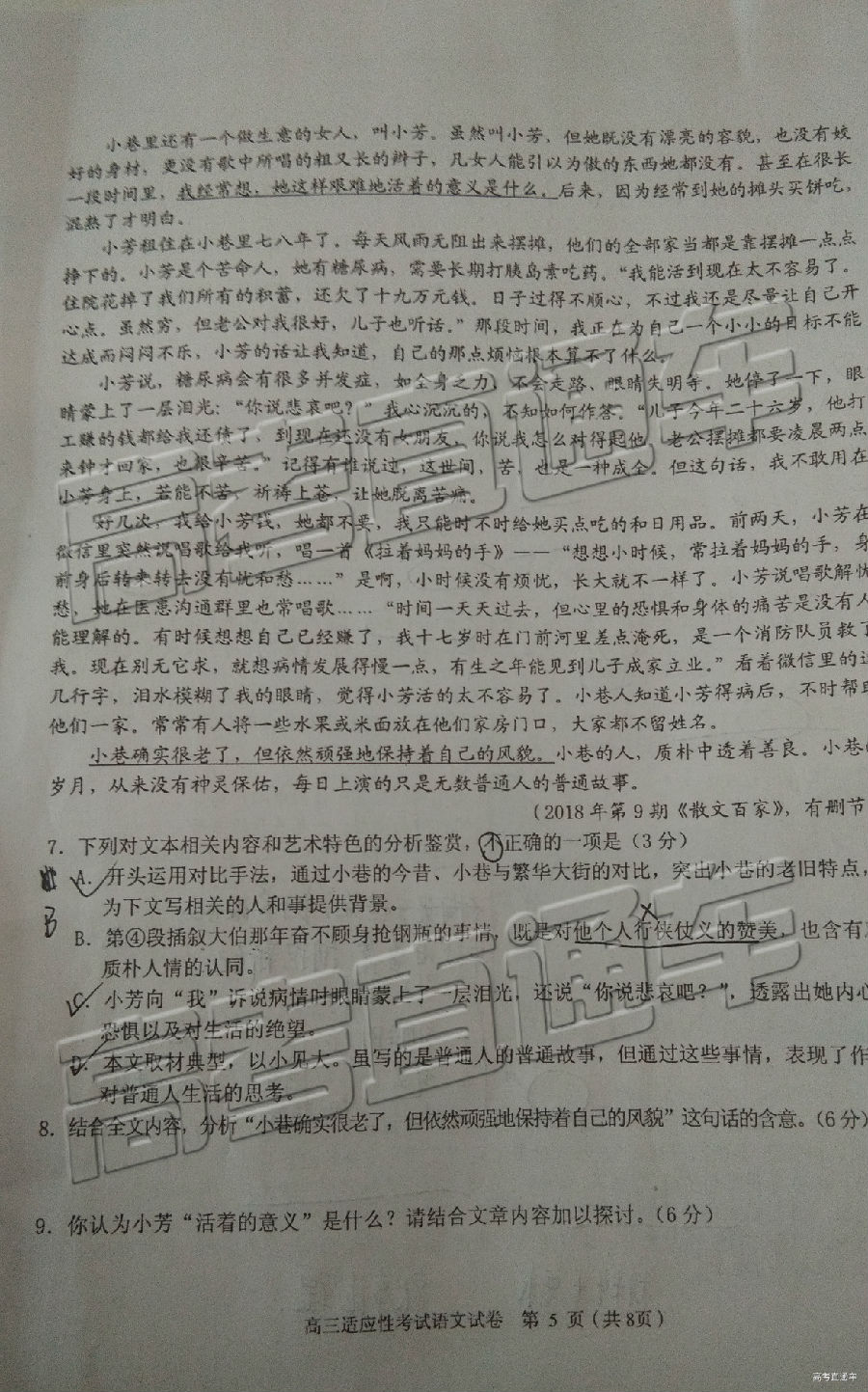 2019ݶģ⼰ο