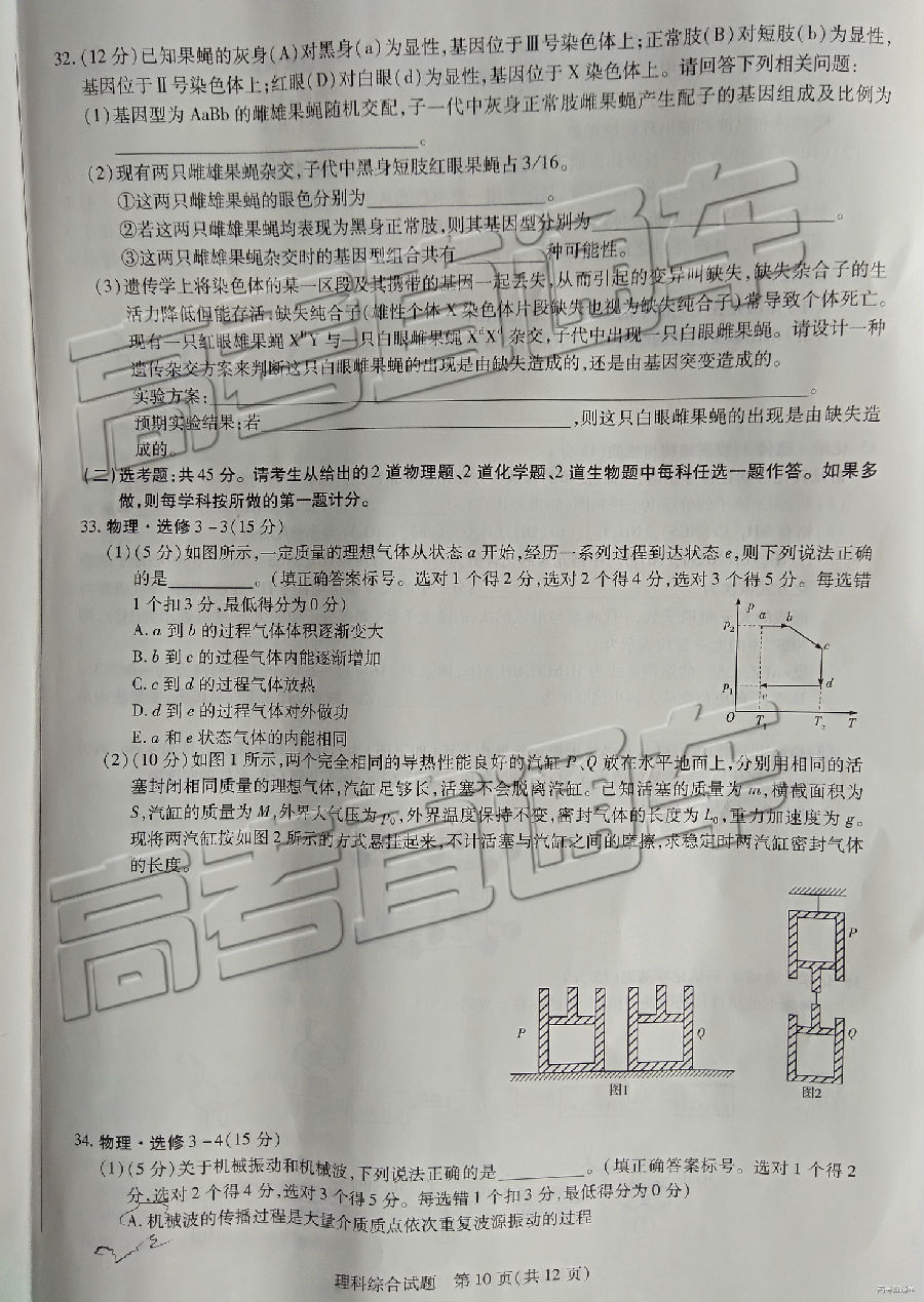 2019һ⼰ο
