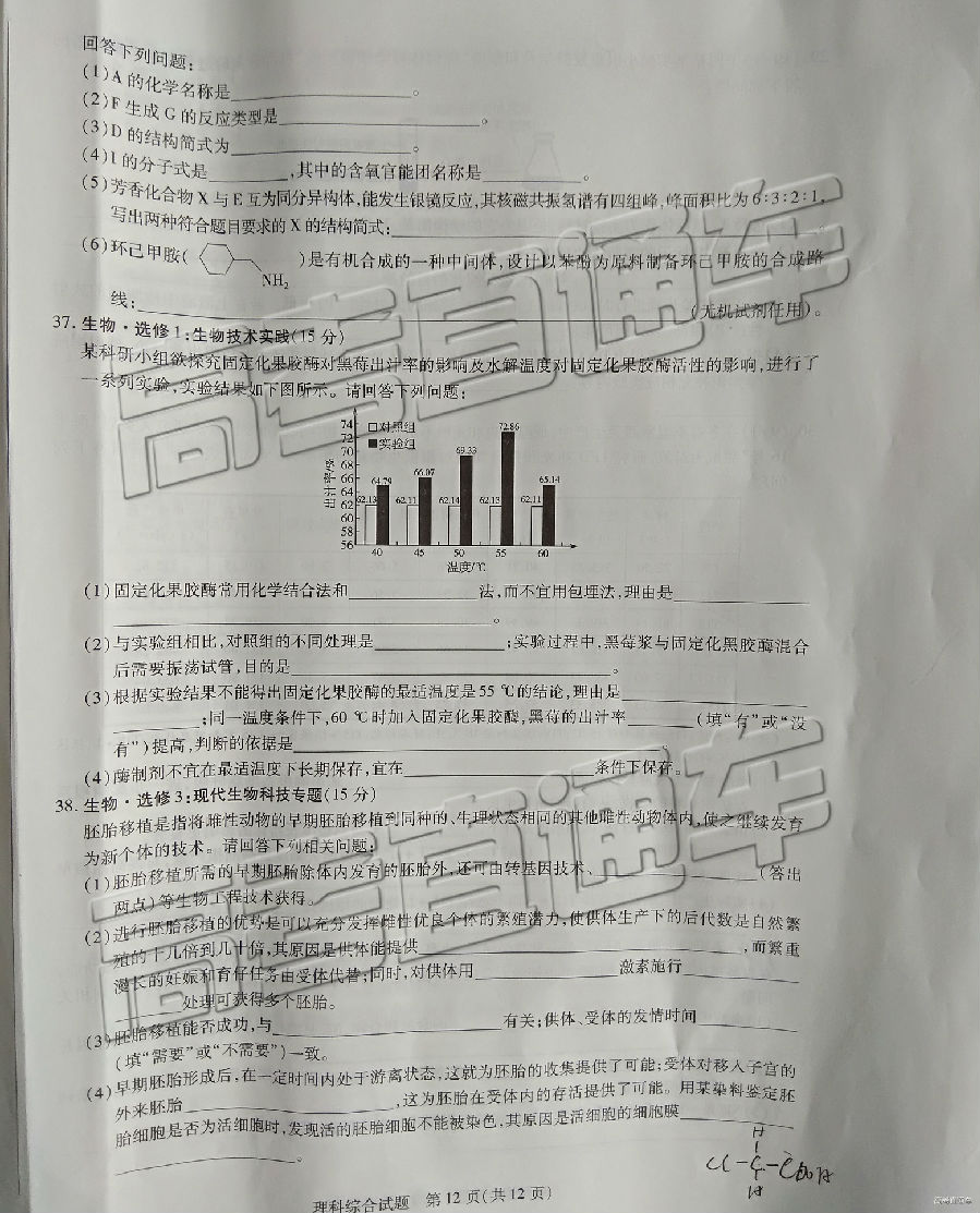 2019һ⼰ο