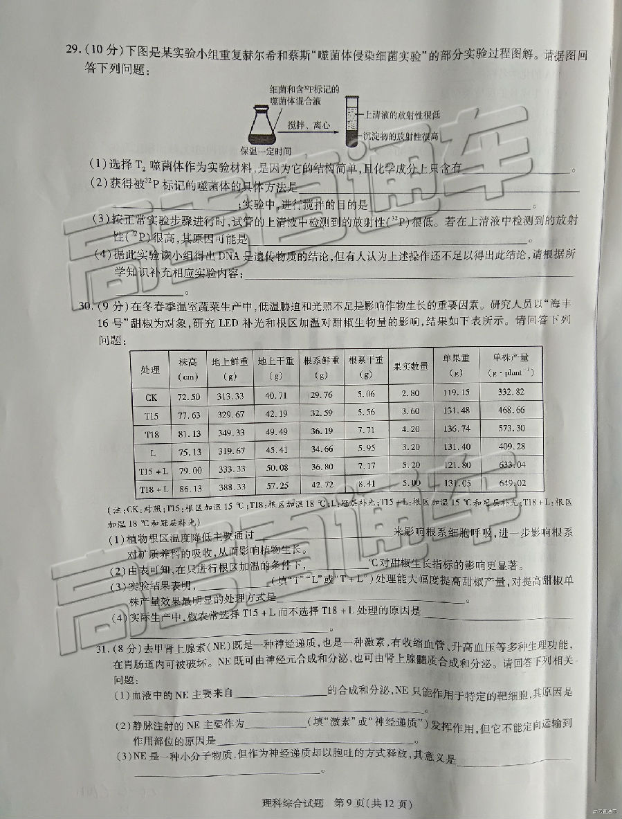 2019һ⼰ο