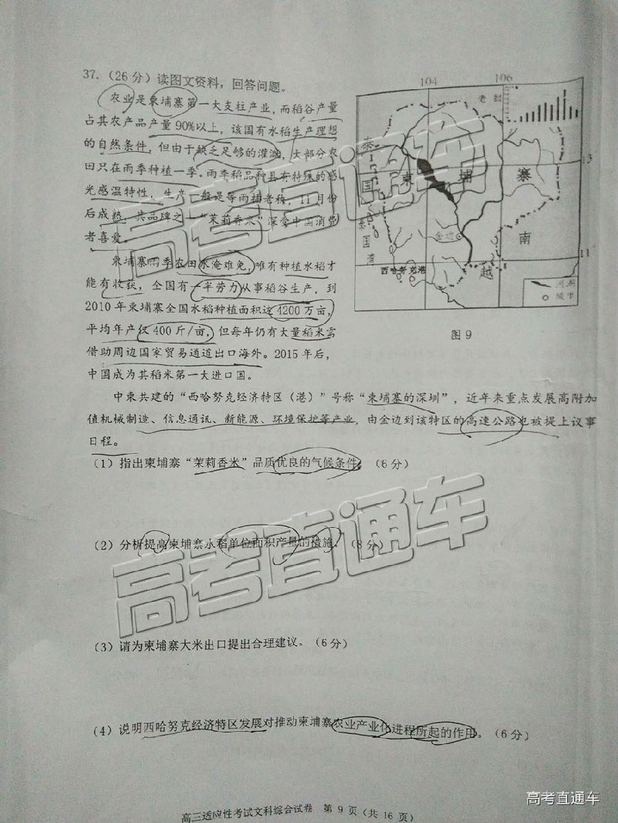 2019ݶģ⼰ο