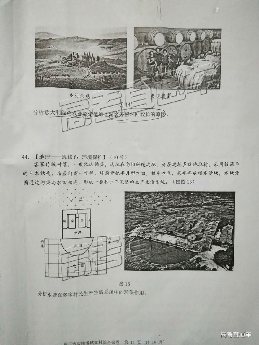 2019ݶģ⼰ο