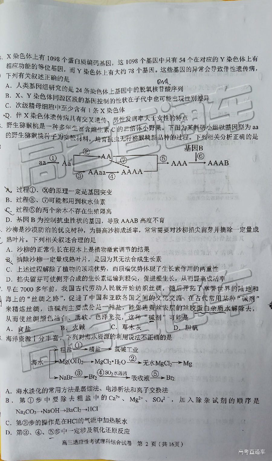 2019ݶģ⼰ο