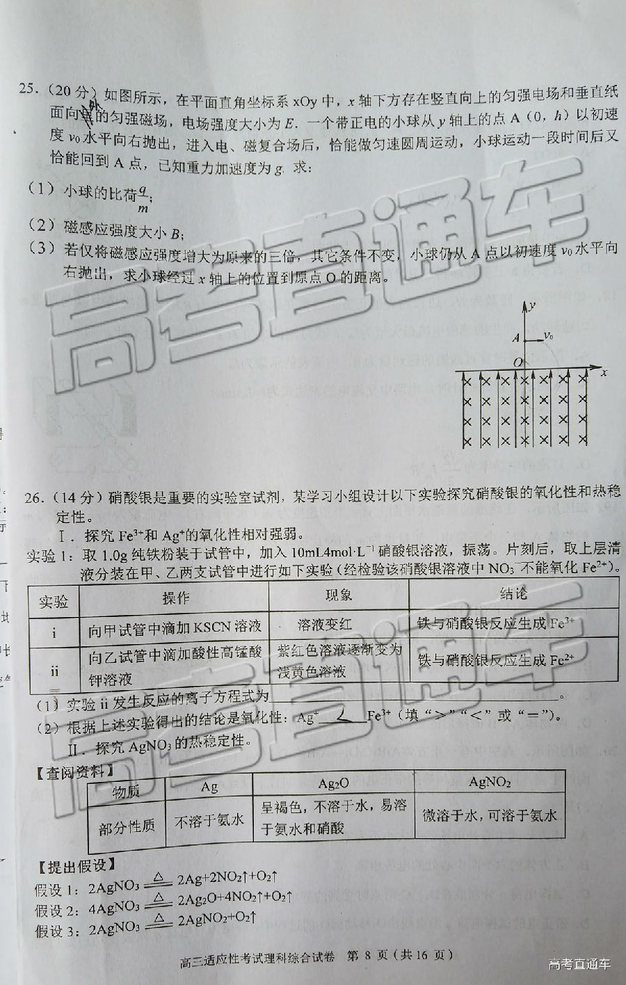 2019ݶģ⼰ο