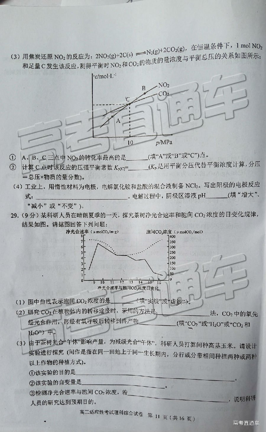 2019ݶģ⼰ο
