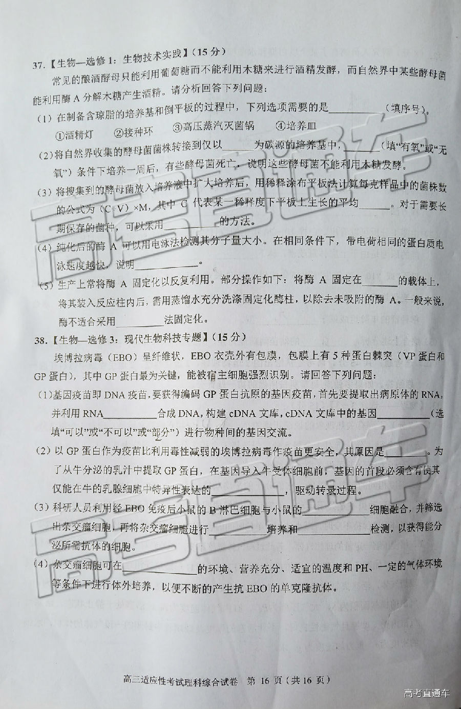 2019ݶģ⼰ο