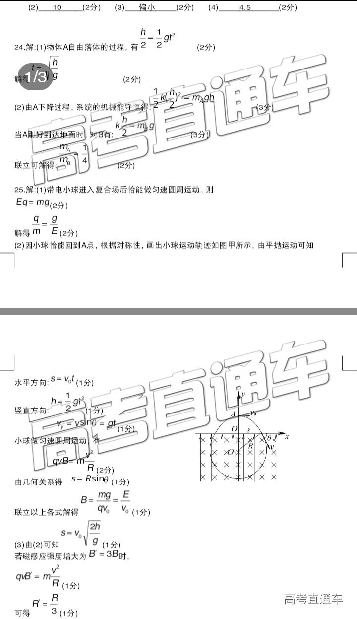 2019ݶģ⼰ο