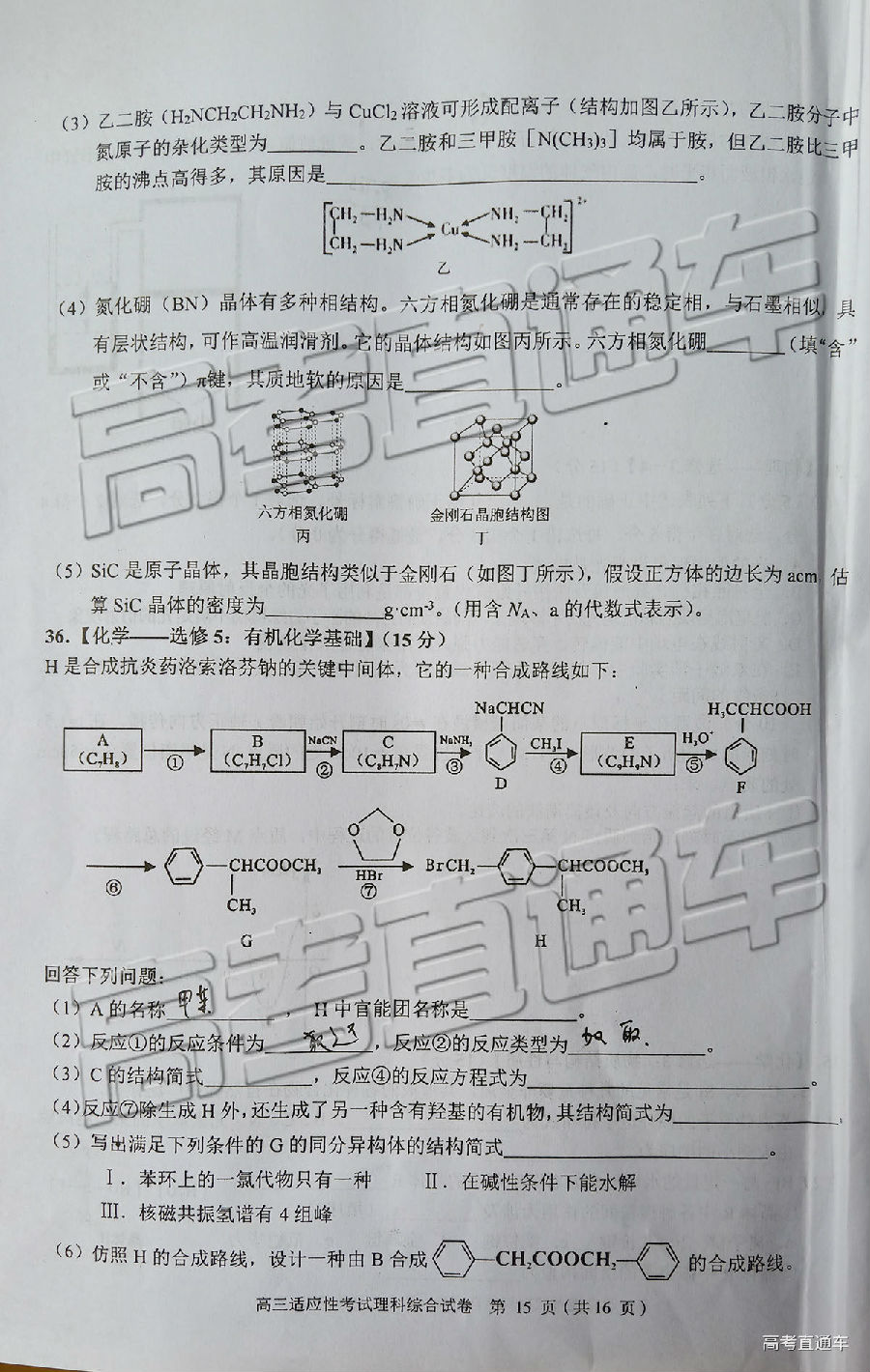 2019ݶģ⼰ο