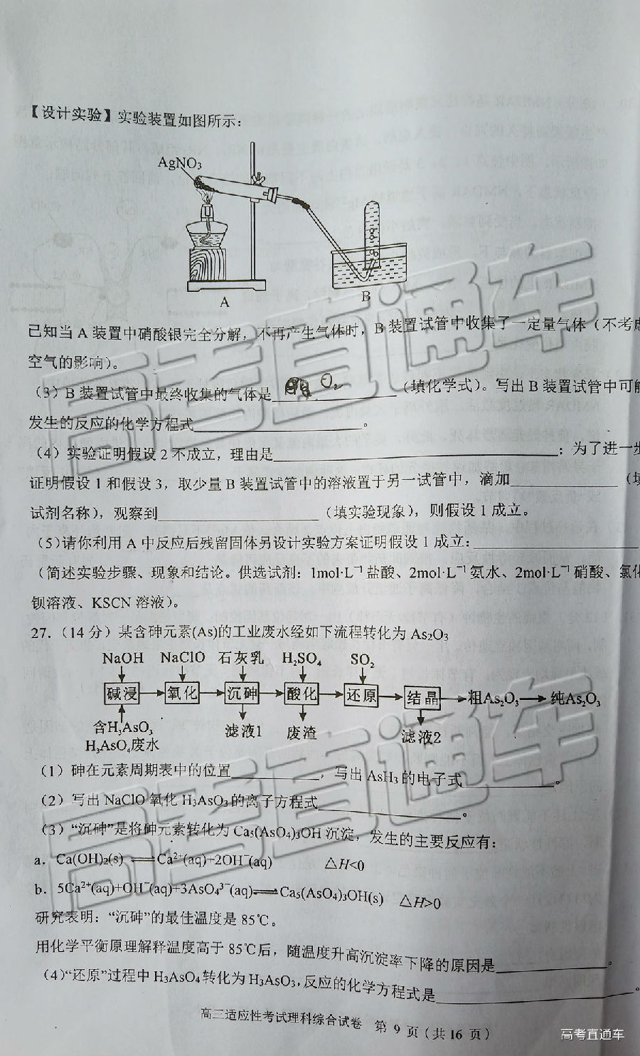 2019ݶģ⼰ο