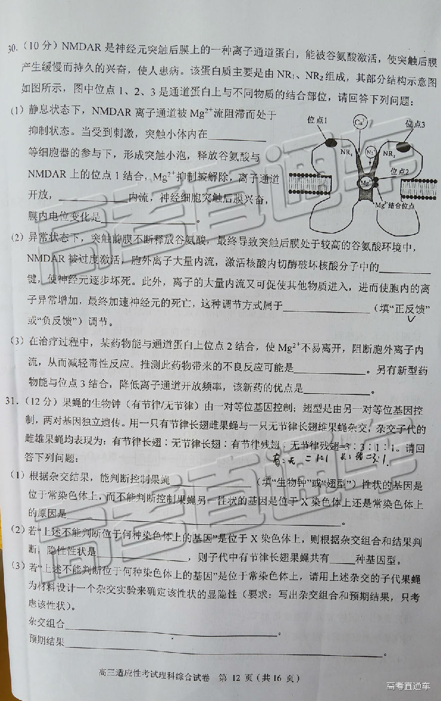 2019ݶģ⼰ο