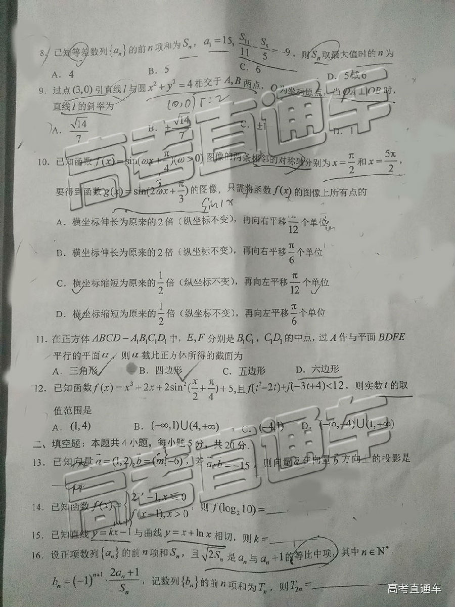 2019ݶģ⼰ο