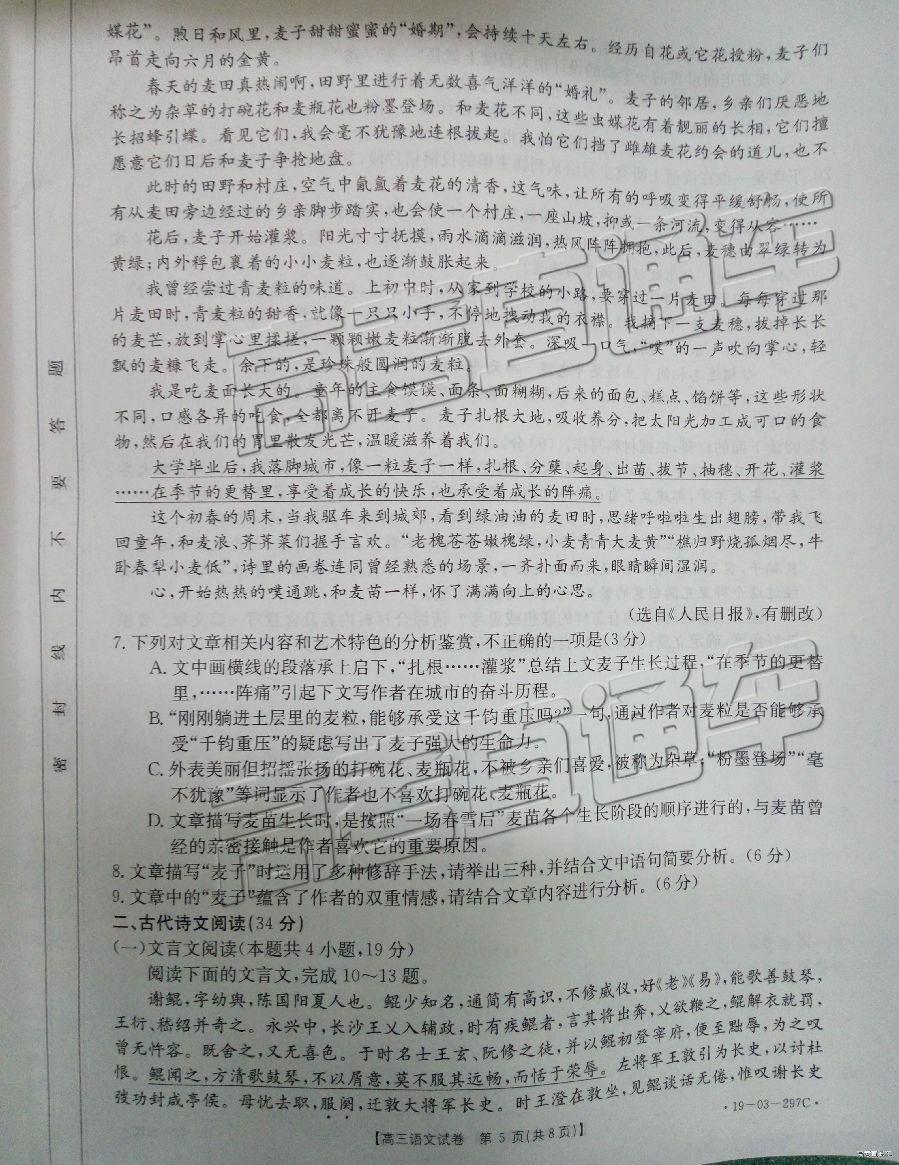 2019㰲⼰ο