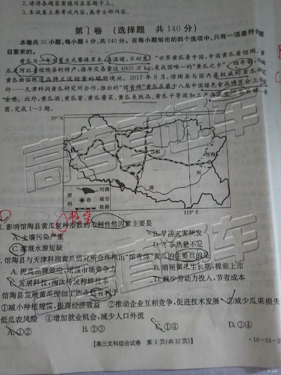 2019㰲⼰ο