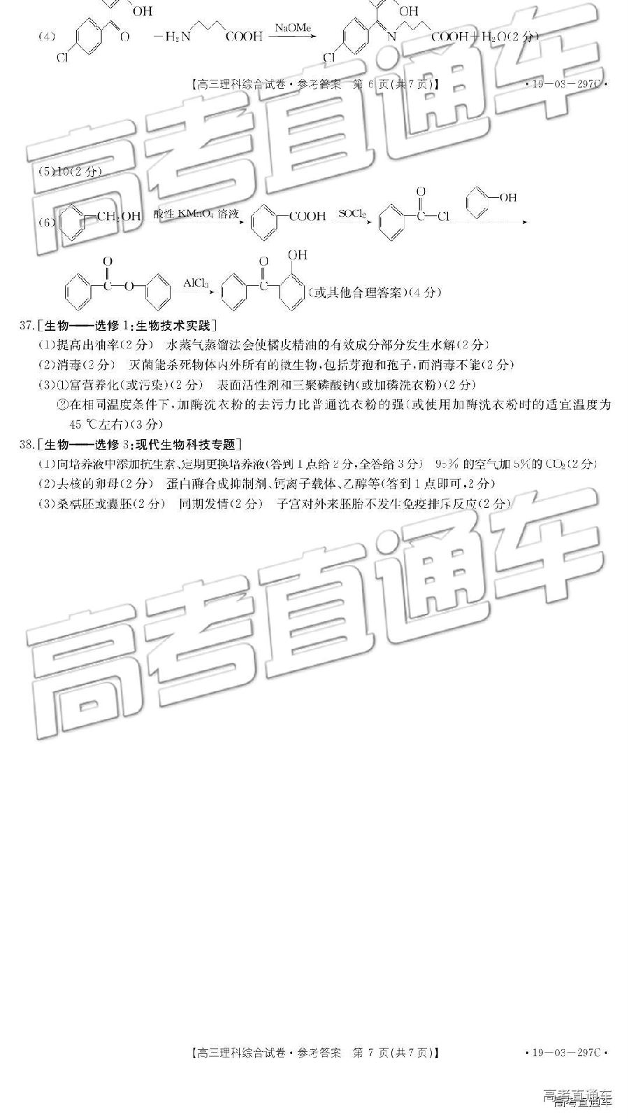 2019㰲⼰ο