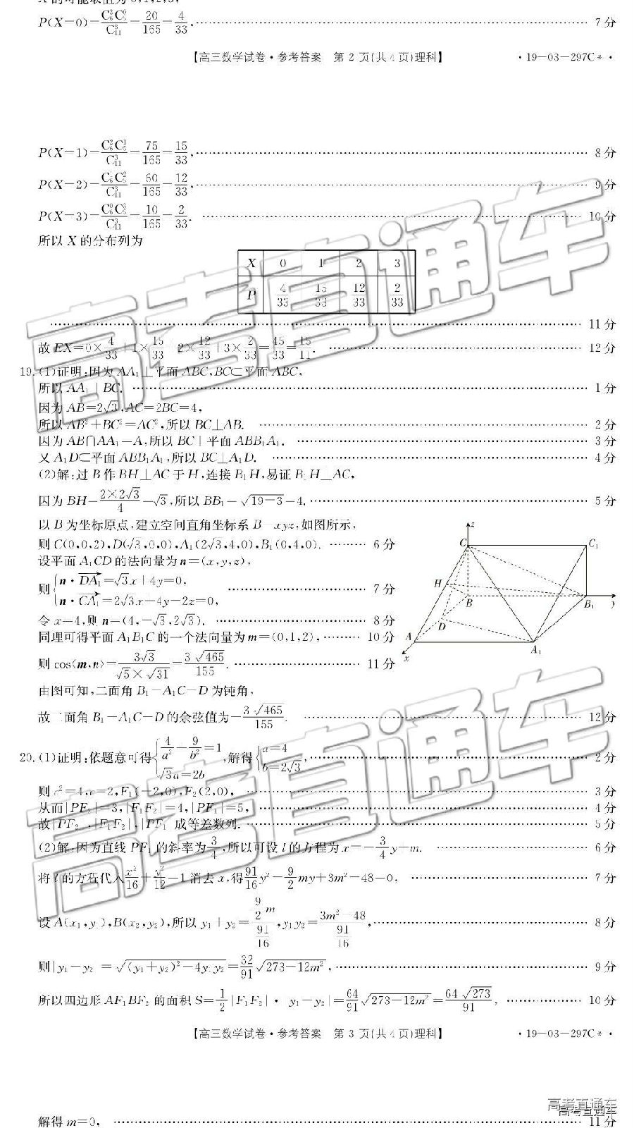 2019㰲⼰ο