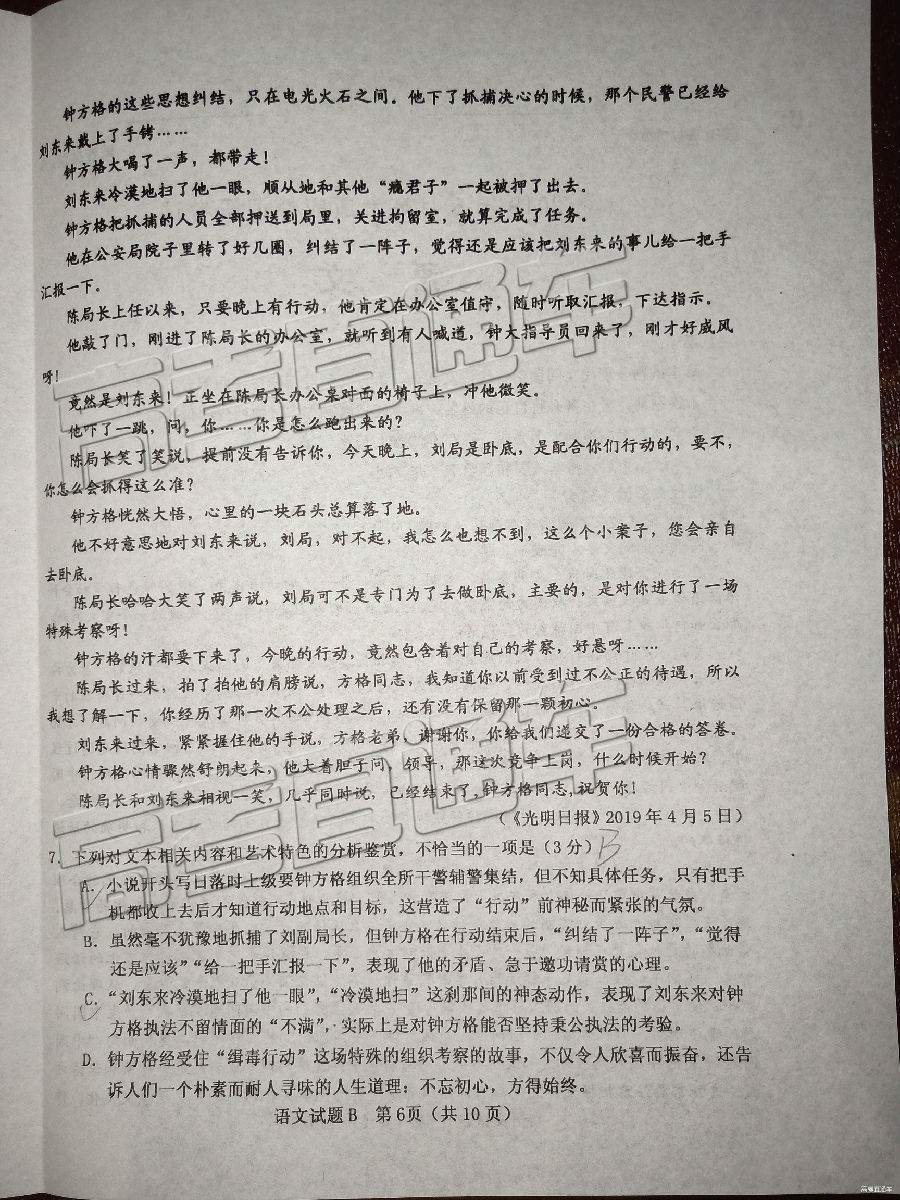2019ɽ5ӦԵп⼰ο