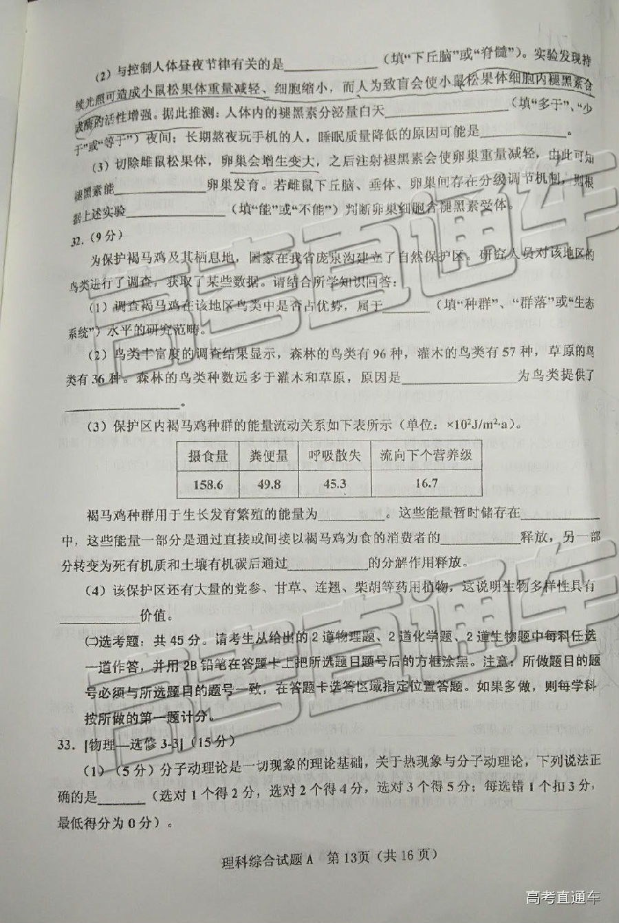 2019ɽ5ӦԵп⼰ο