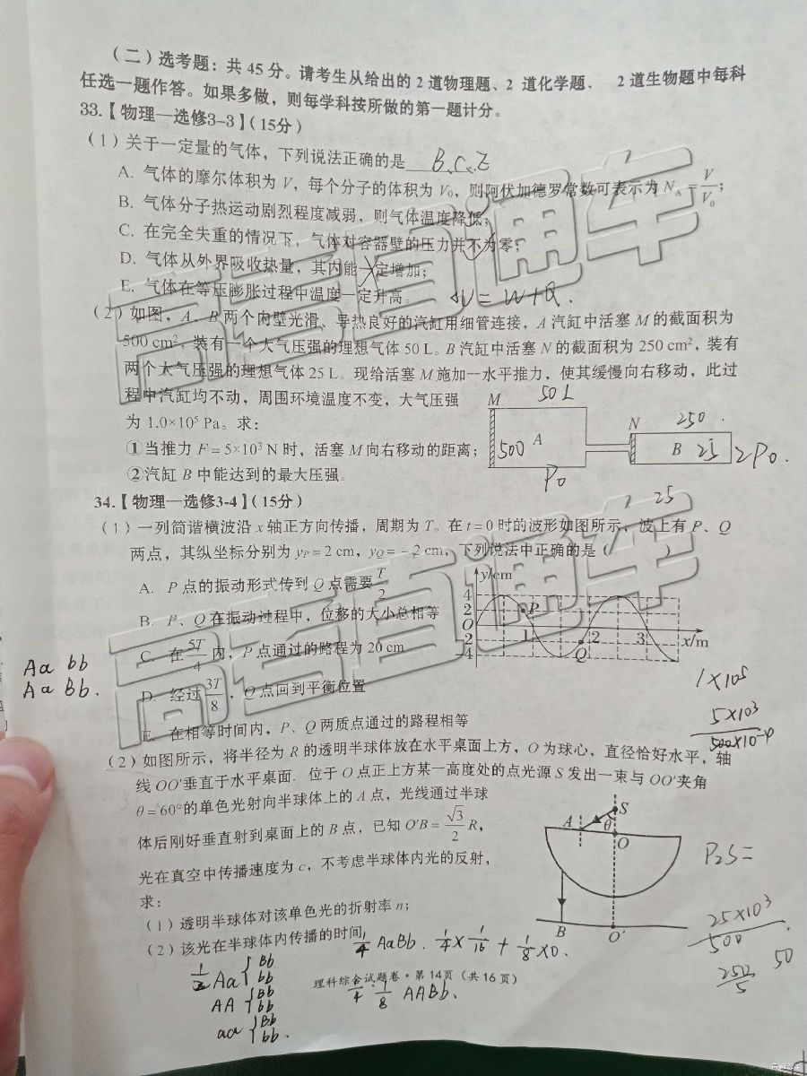 2019ͳ⼰ο