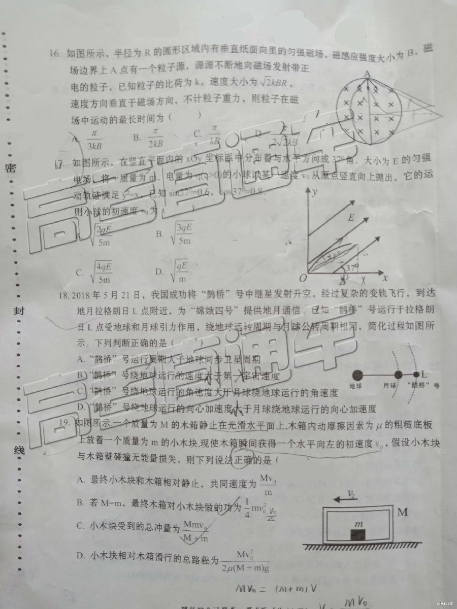 2019ͳ⼰ο