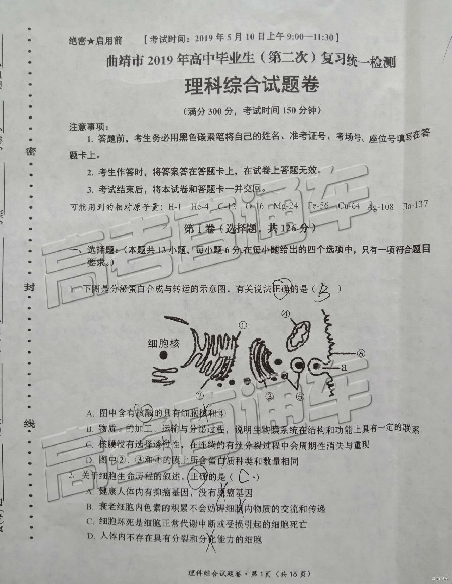 2019ͳ⼰ο