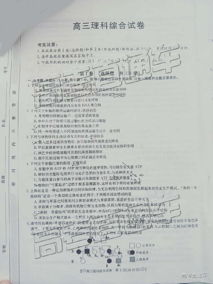 20195¸⼰ο