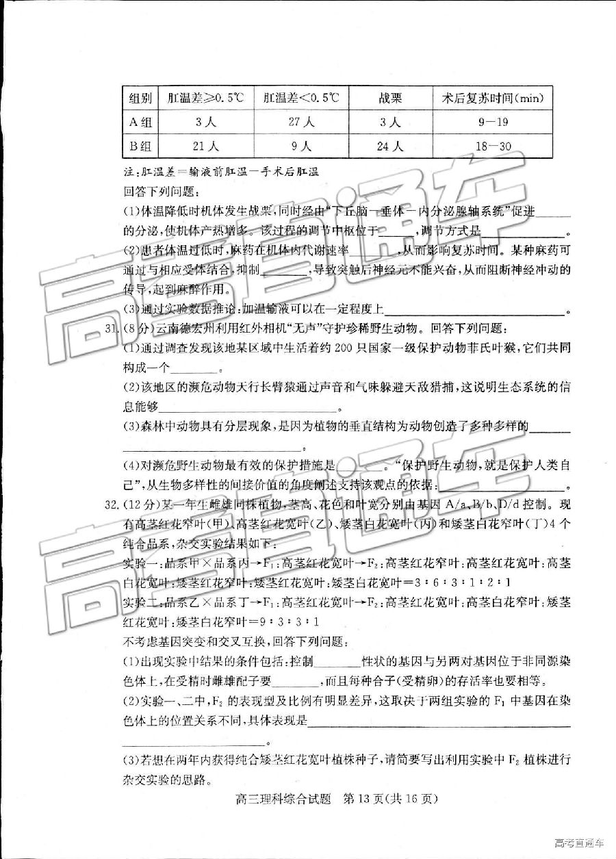 2019ݶģ⼰ο