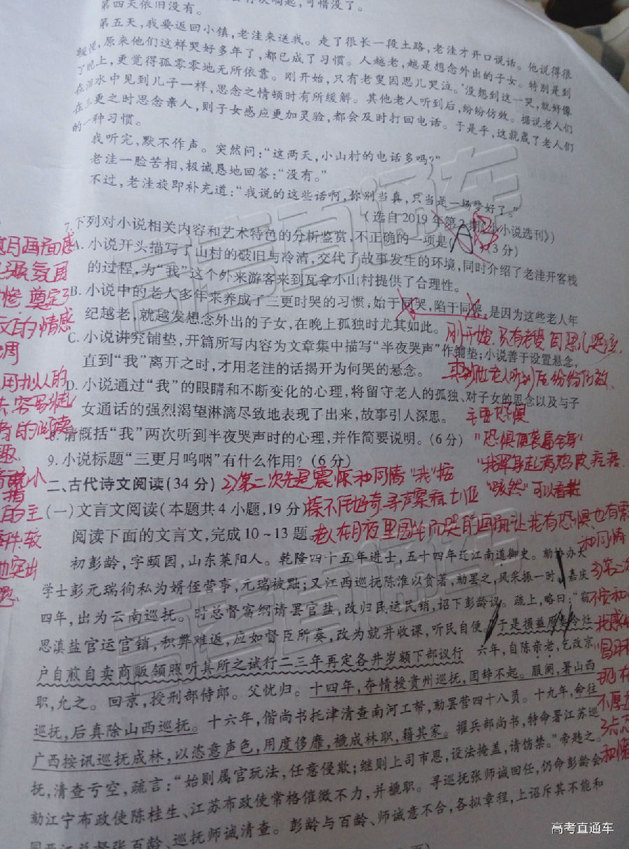 2019ɽʡģ⼰ο