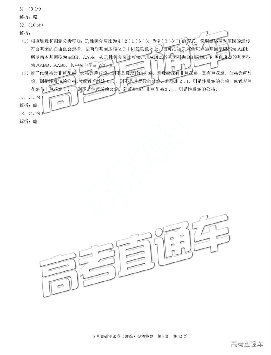 20195µУ⼰ο