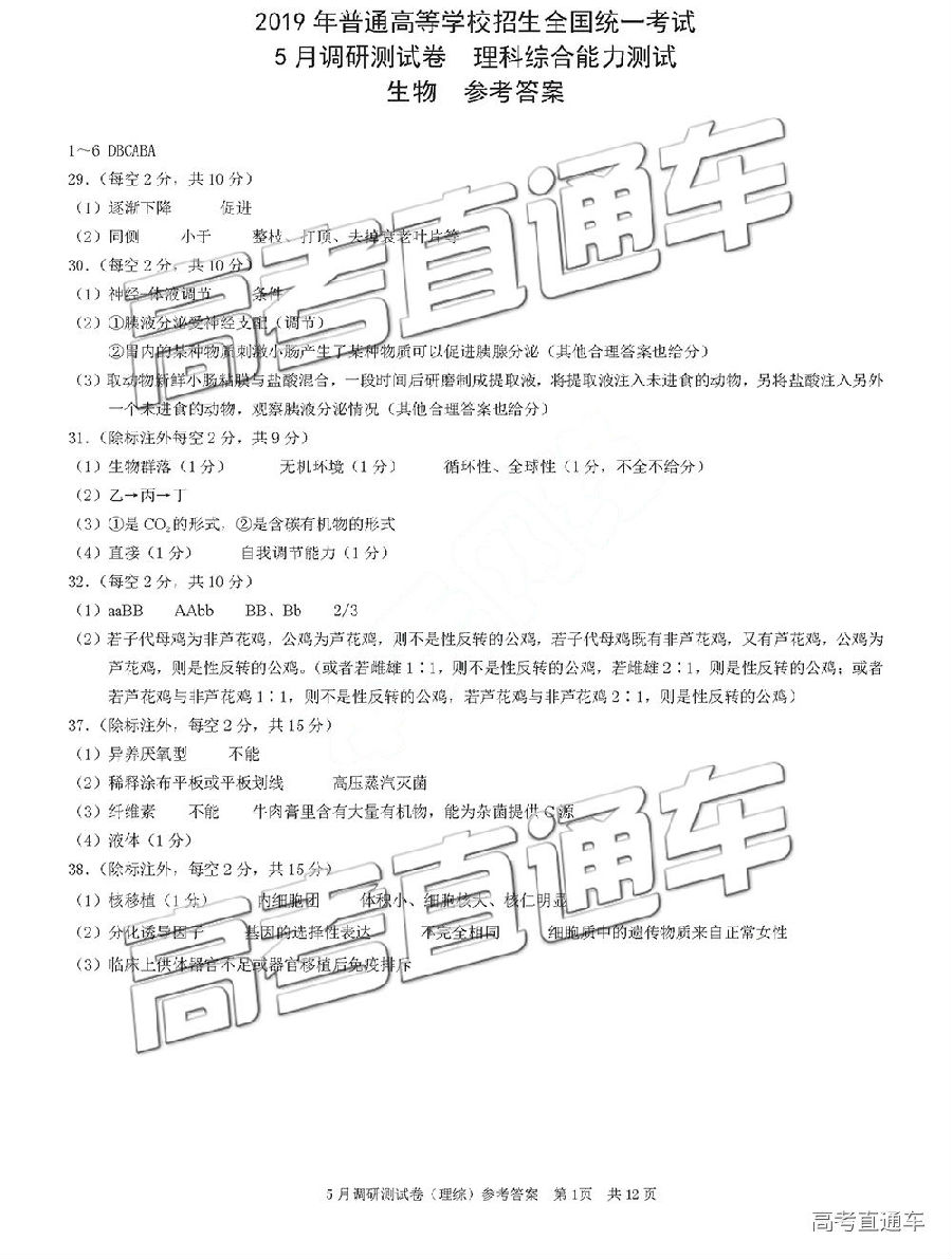 20195µУ⼰ο