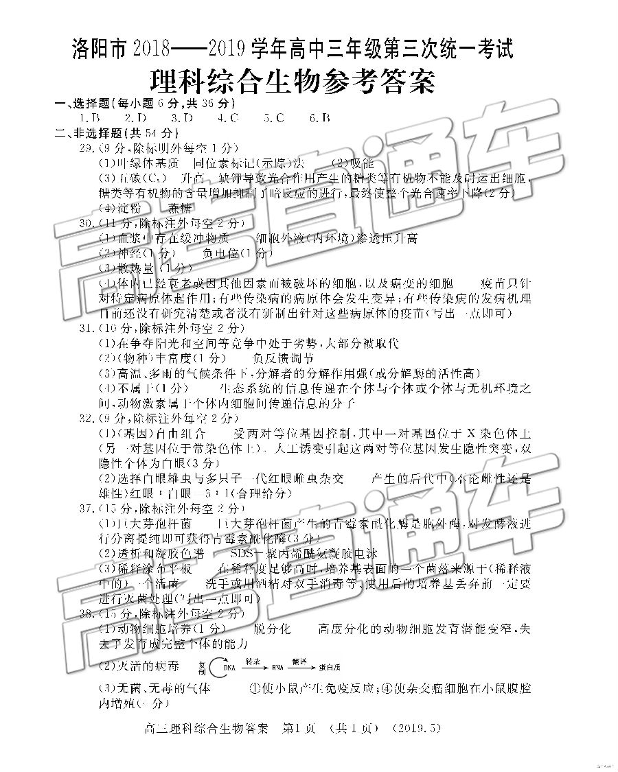 2019ͳ⼰ο