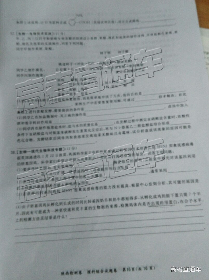 2019⼰ο