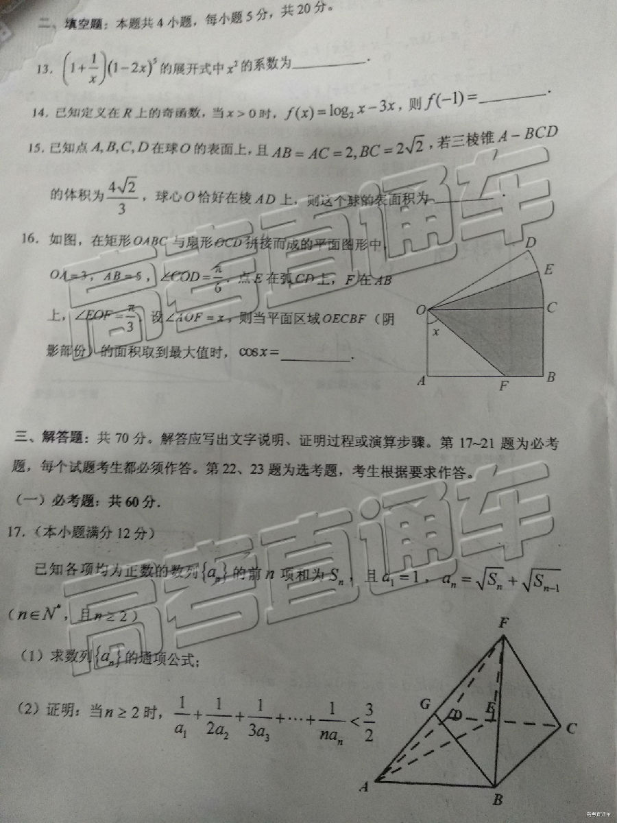 2019㶫߿ӦԿ⼰ο