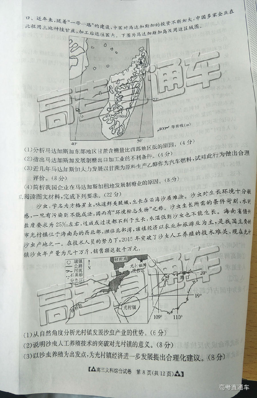 2019㶫̫5⼰ο