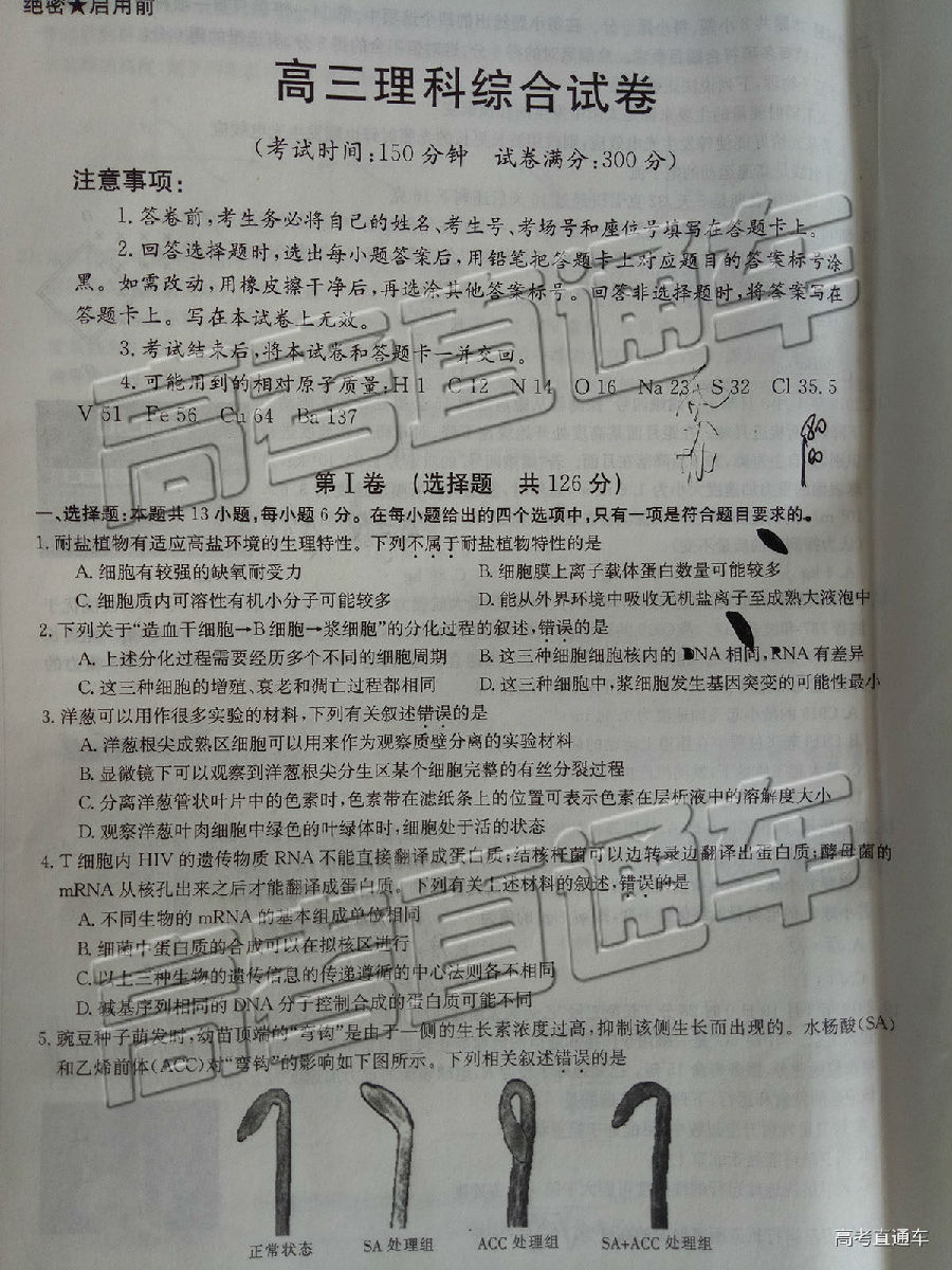 2019㶫̫5⼰ο