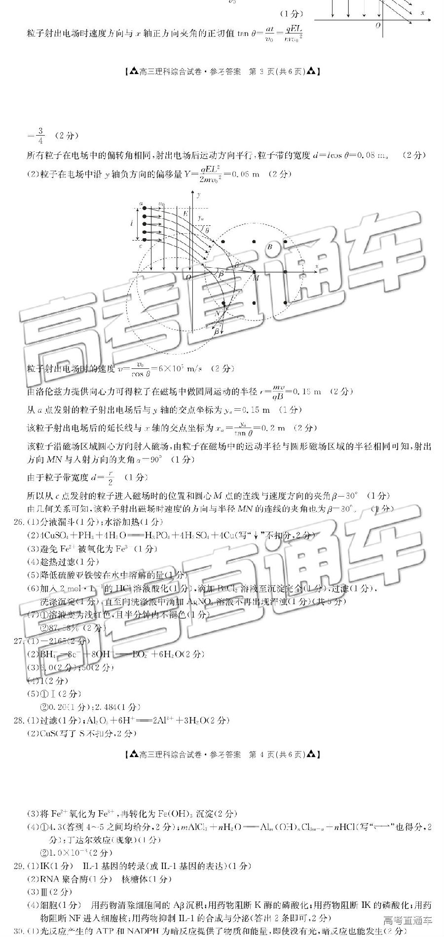 2019㶫̫5⼰ο