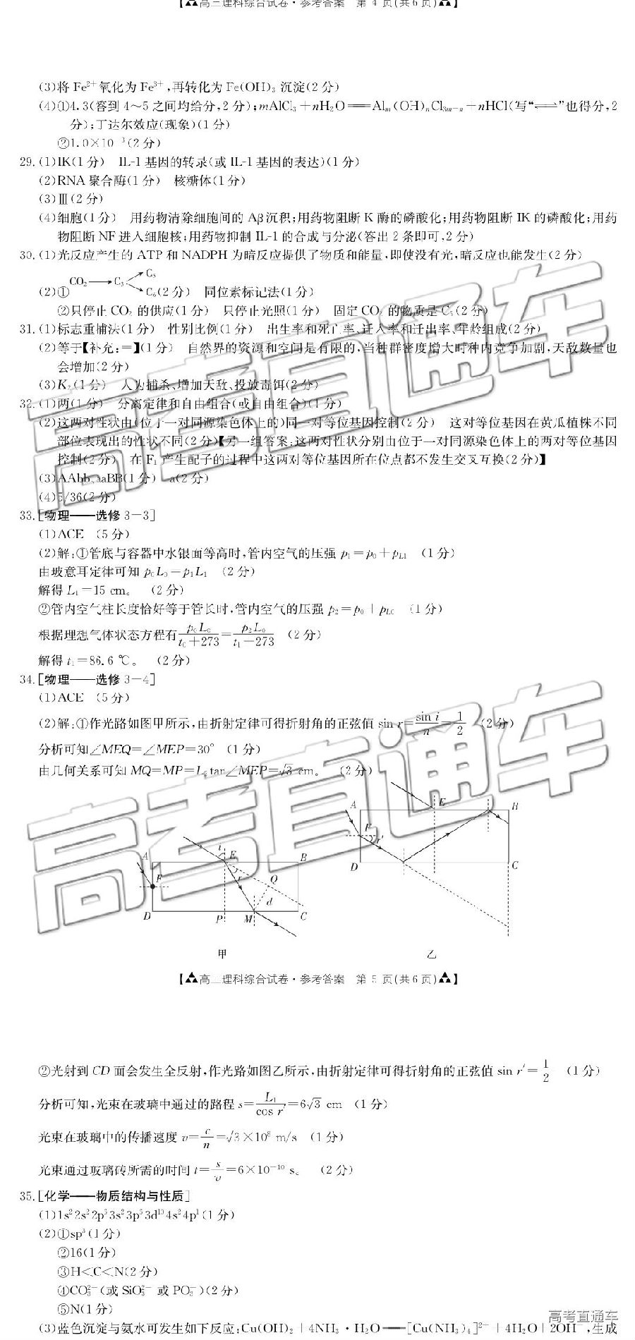 2019㶫̫5⼰ο