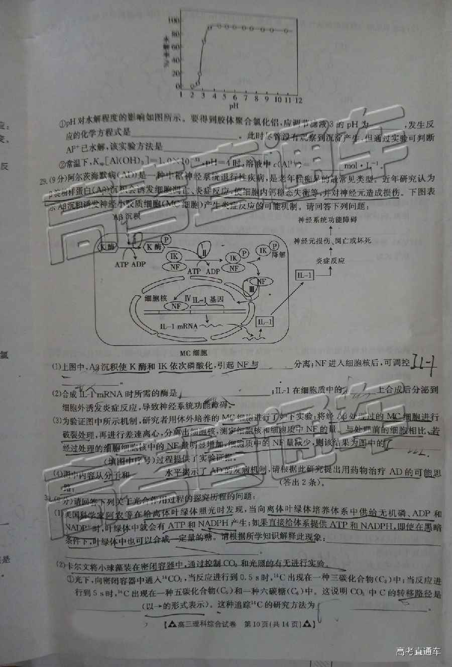 2019㶫̫5⼰ο