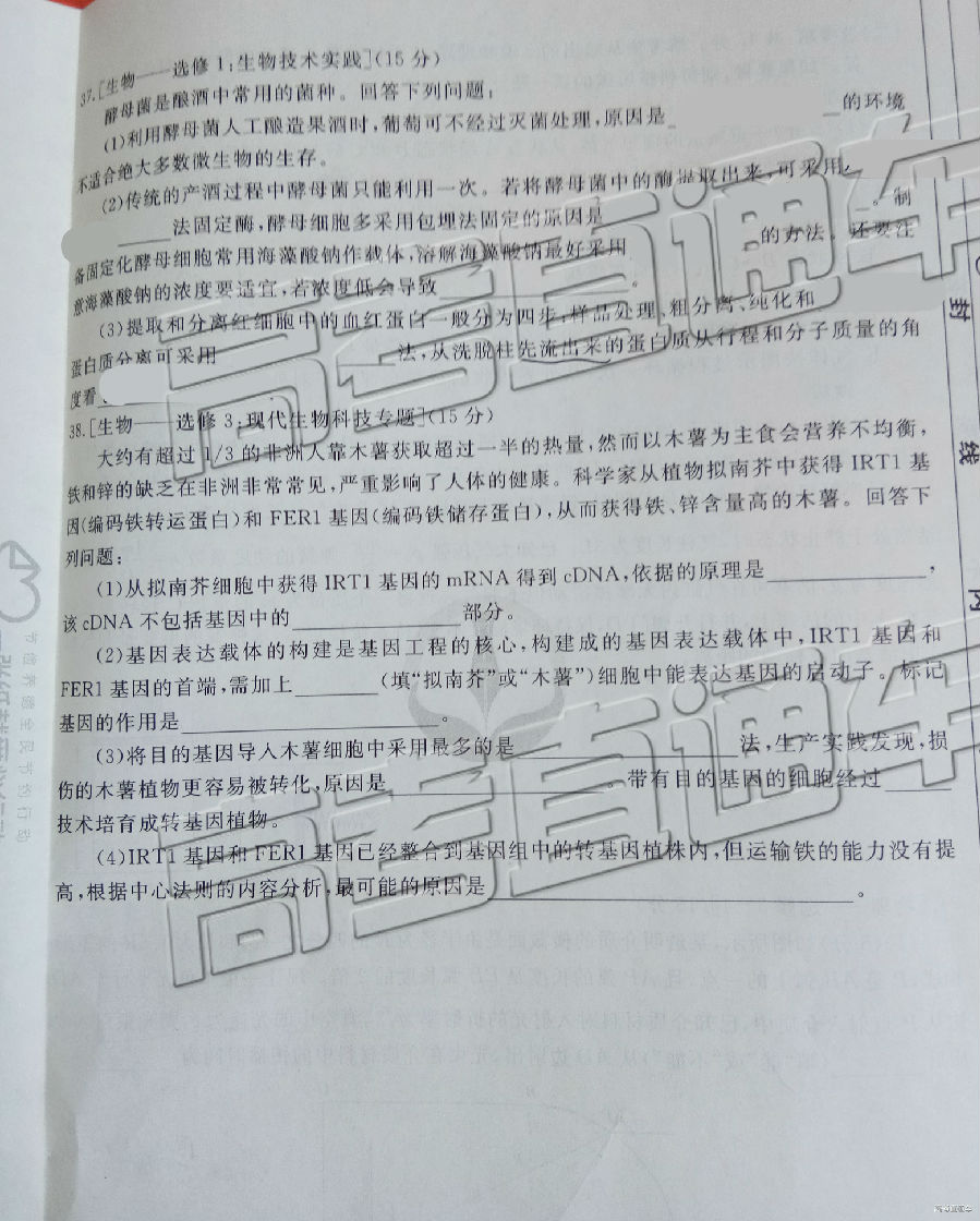 2019ˮ´⼰ο