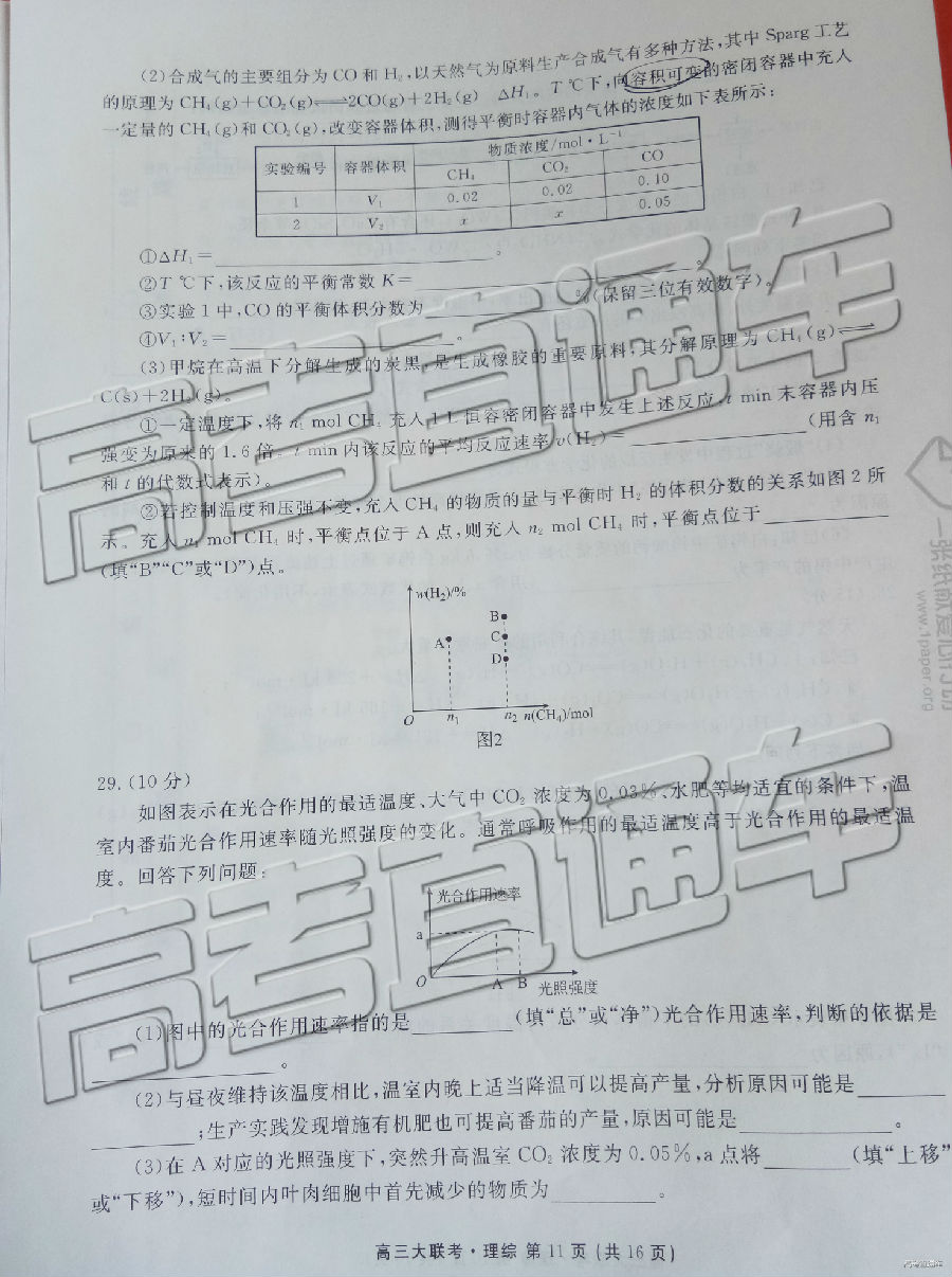 2019ˮ´⼰ο
