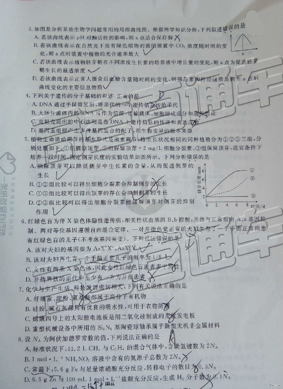 2019ˮ´⼰ο