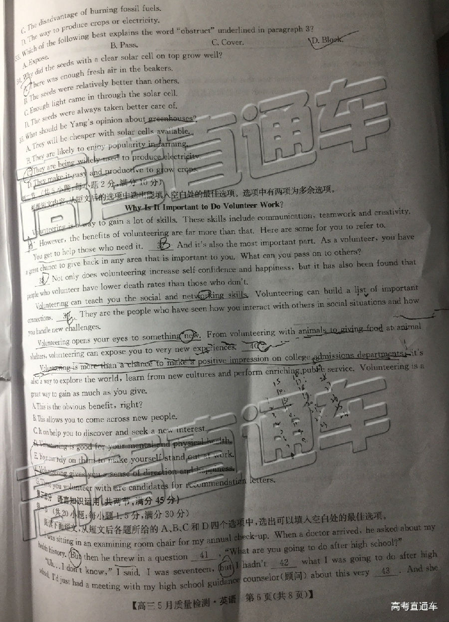 2019ʦӢ⼰ο