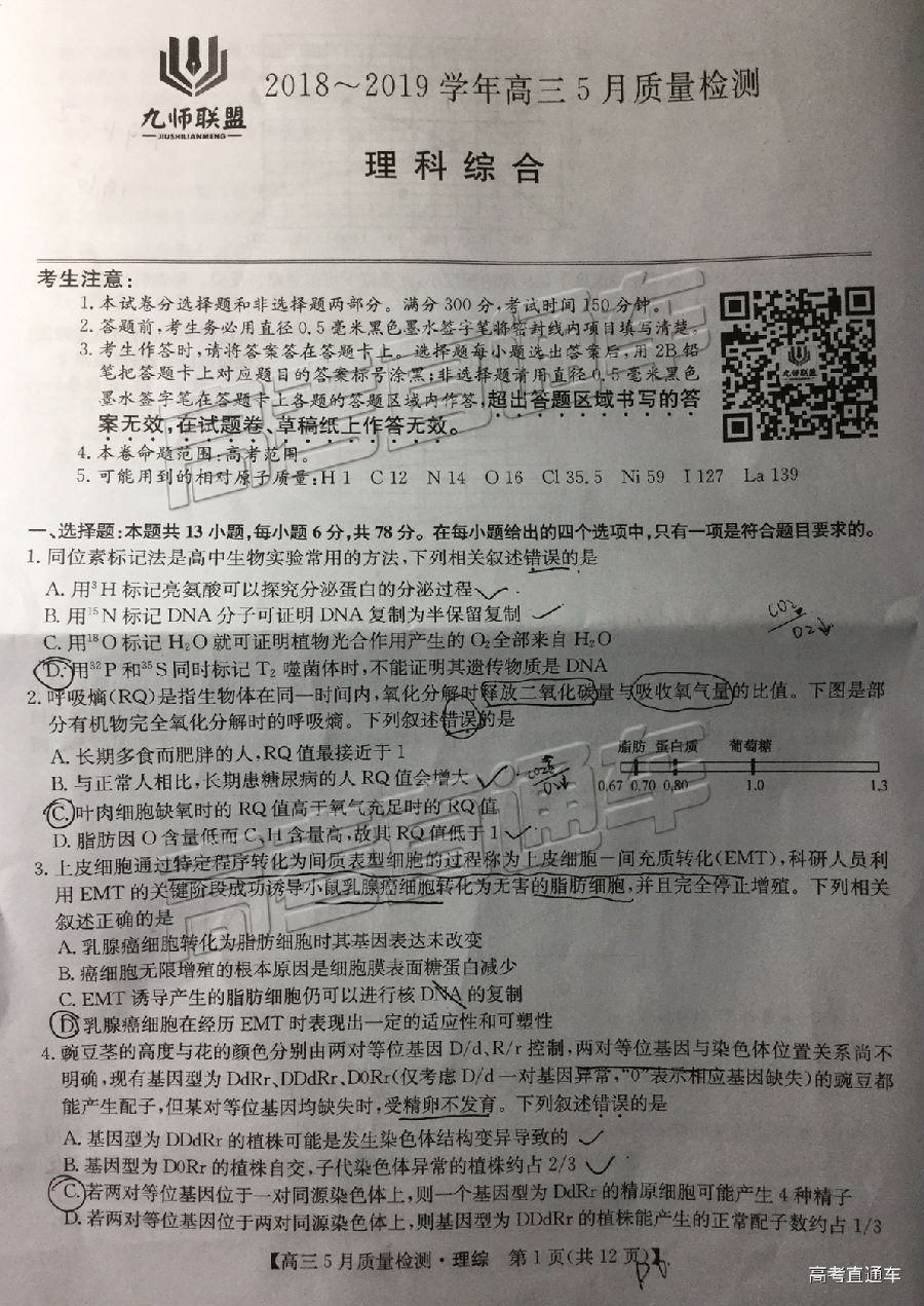 2019ʦ⼰ο