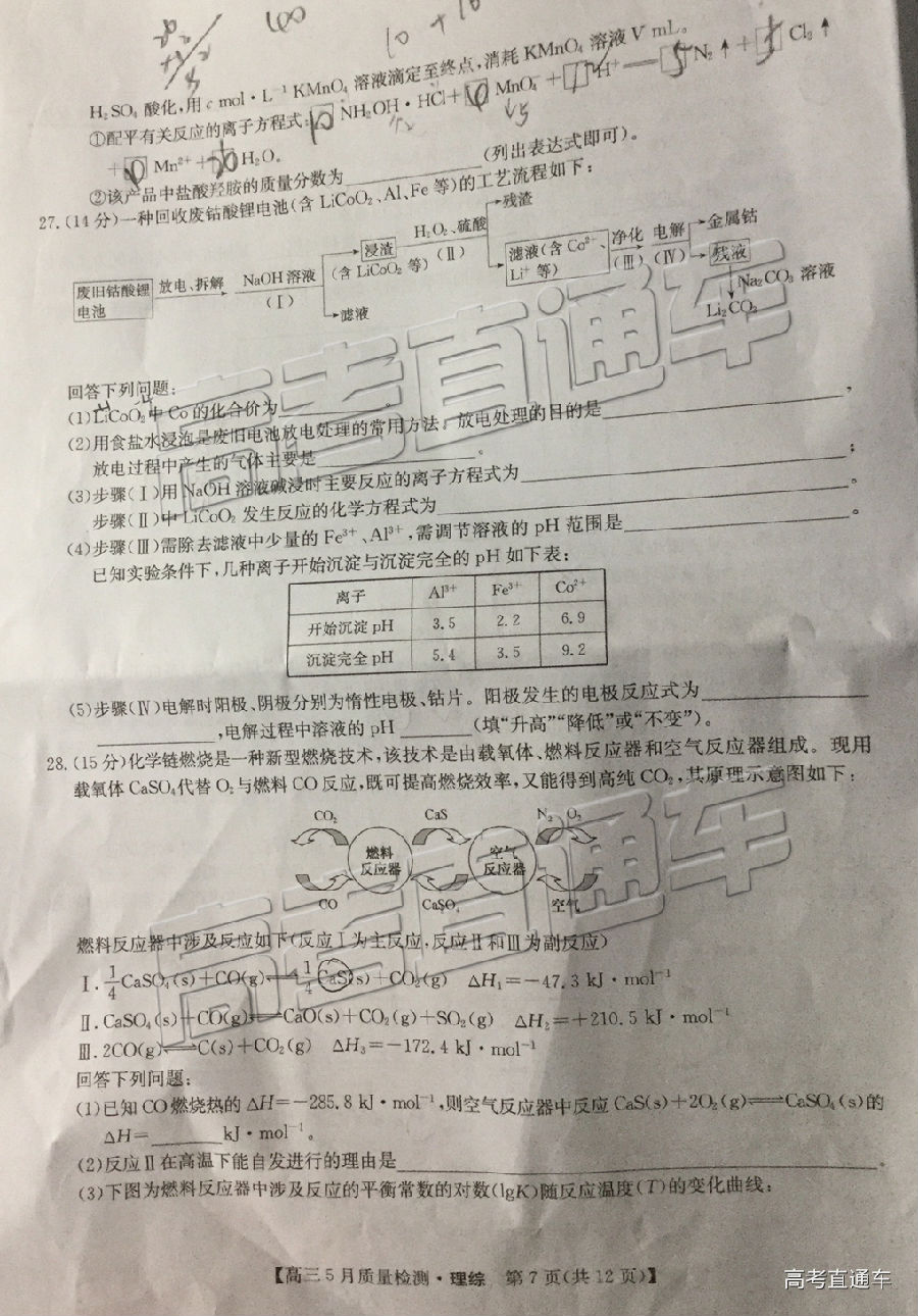 2019ʦ⼰ο
